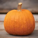 Pumpkin_New England Pie_Johnny's_2021-150