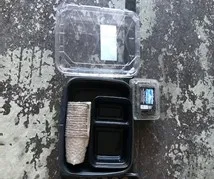 seed starting 2