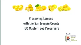 Click here to watch the recorded presentation.
