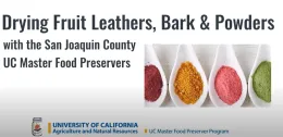 Adventures in Drying: Leathers, Barks and Powders