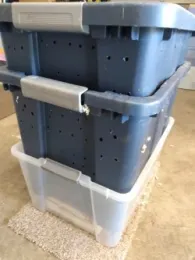 My Worm Bins