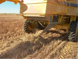 Narrow Windrowing