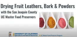 Link to recorded presentation