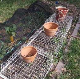protectbaskets