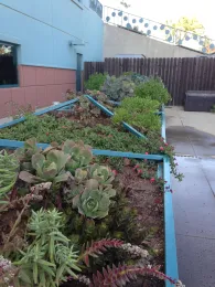 VC garden more