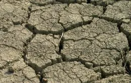 drought-icon
