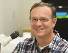 Co-author Jason Bond, the Evert and Marion Schlinger Endowed Chair in Insect Systematics