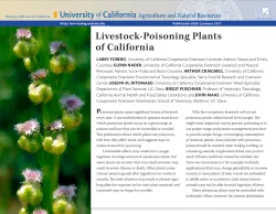 Poisoning_Plants_Forero_thumb