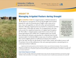 Irrigated_Pasture_Orloff_thumb