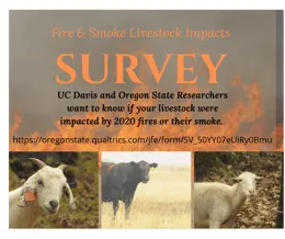 smoke survey