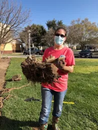 Roxanne with stump