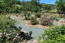 AmadorGarden