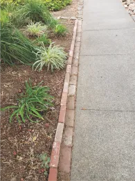 bricks