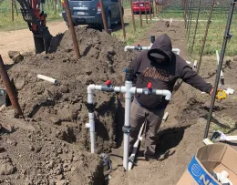 Drip irrigation system installed at a vineyard