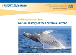 Natural History of the California Current half page