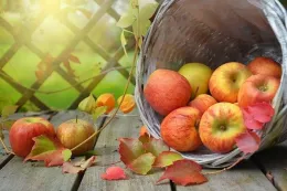 apples-1776744 640