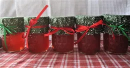 cranberry-jelly-1