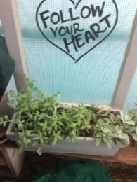 window with heart