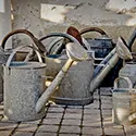 watering can