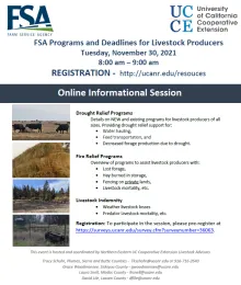 workshop flyer