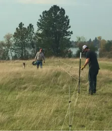 Researchers set up fencing to isolate some pools as a control