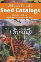Seeds