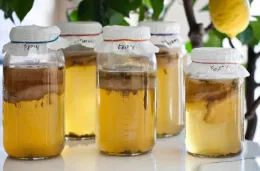 Kombucha - ColoStateUniversity
