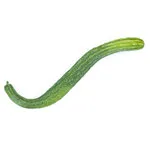 Cucumber_Suyo Long_MGFT-150