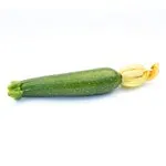 Zucchini_Dunja_MGFT-150