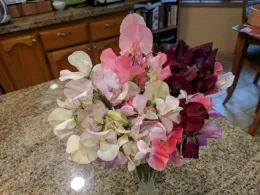 Sweet peas.