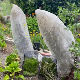Mesh bags can reduce cross-pollination by insects