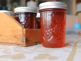 jelly