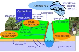 Environmental contamination Wikimedia commons