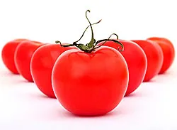 8-9-22tomato250