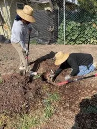 CommunityGarden-1