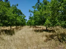Unruh Farming-2