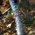 soaker hose