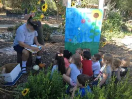 Children's garden
