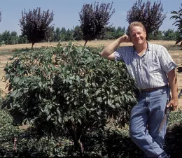 Man standing with a fruit tree with his arm resting on the top, showing how short the tree is.