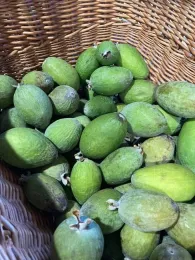 Guavas