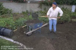 Adding mulch to a bed, UC IPM Jack Kelly Clark.