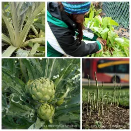 Master Gardener Images