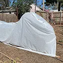 frost protection