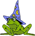 Water Wizards Logo
