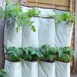 HerbsQ12023b