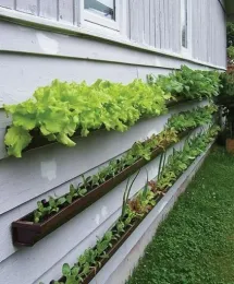 HerbsQ12023c