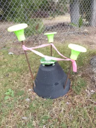 Commercial Picusan Trap