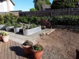 After sod removal