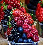 Berries
