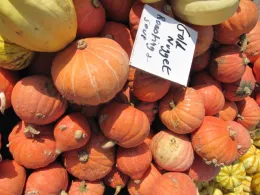 Gold Nugget squash